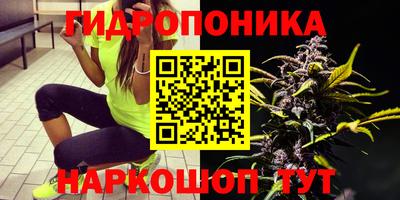 PSILOCYBIN Жуковский