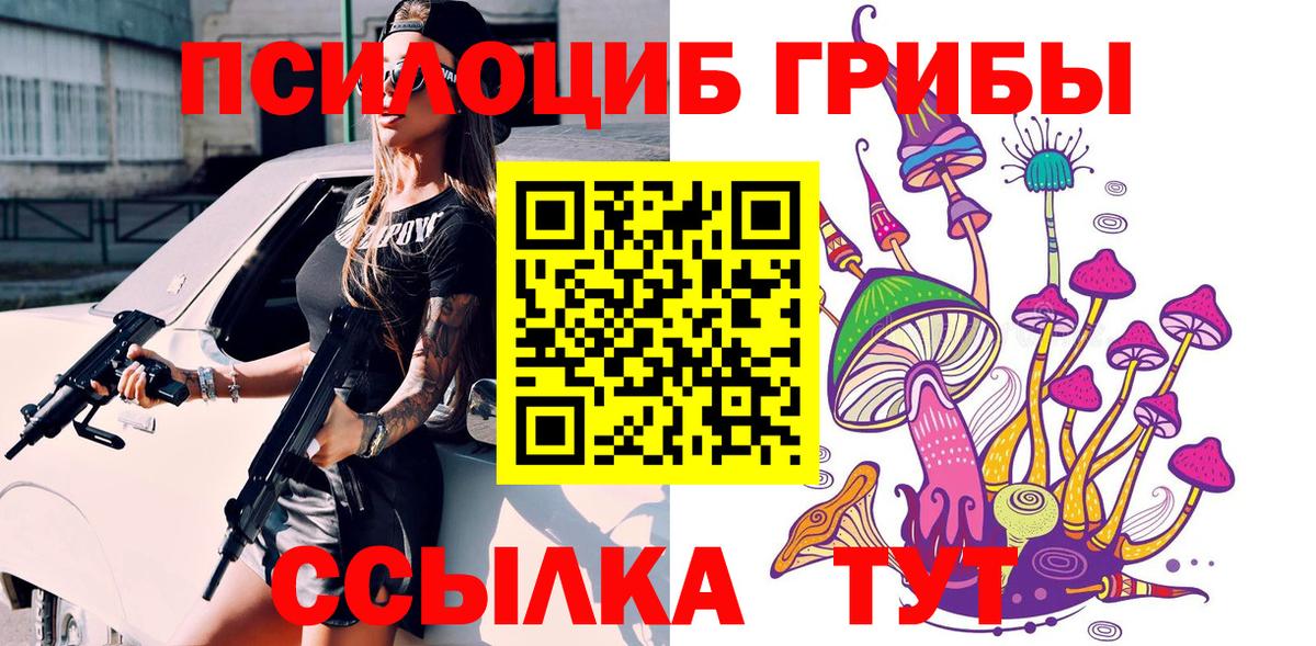 Псилоцибиновые грибы GOLDEN TEACHER  Псилоцибиновые грибы мицелий  Десногорск  купить наркотики сайты  Вход с VPN 