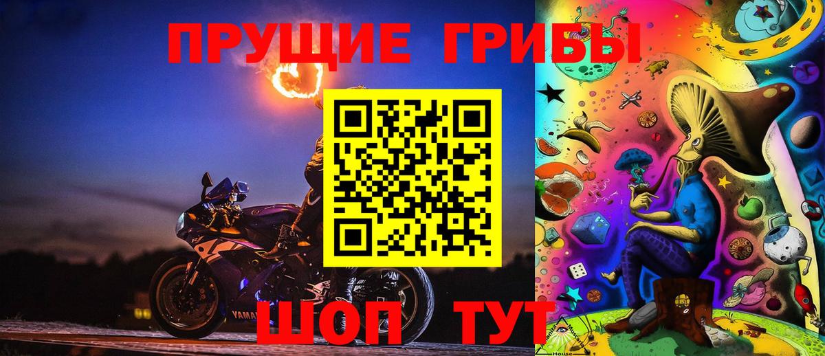 Псилоцибиновые грибы Psilocybine cubensis Десногорск